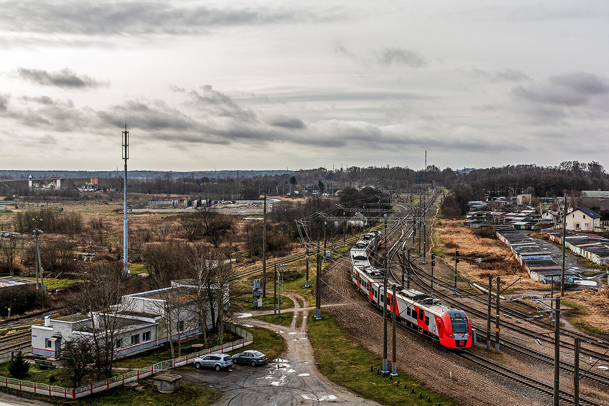 Пионерский - Дмитрий 