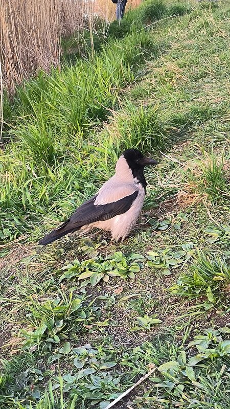 Хозяйка! - Ольга 