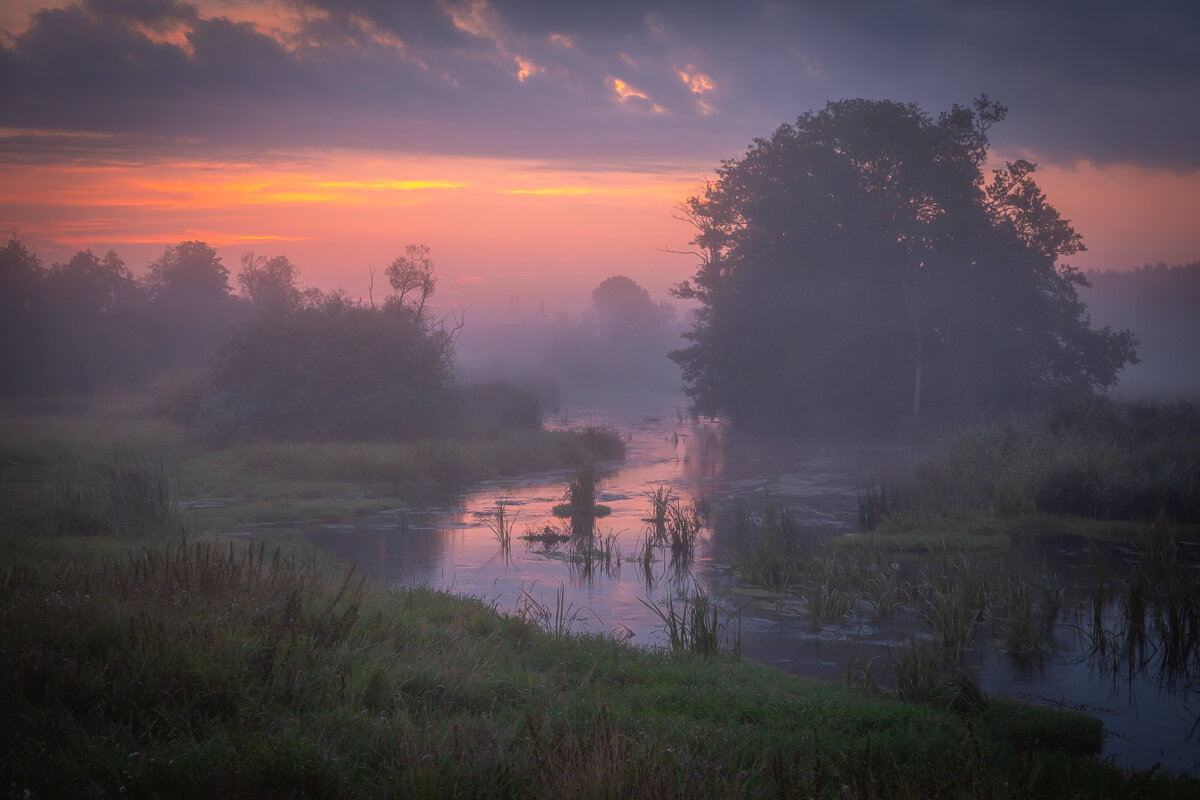 **** - Елизавета .