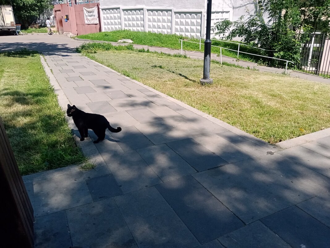 Хозяин. - Владимир Драгунский