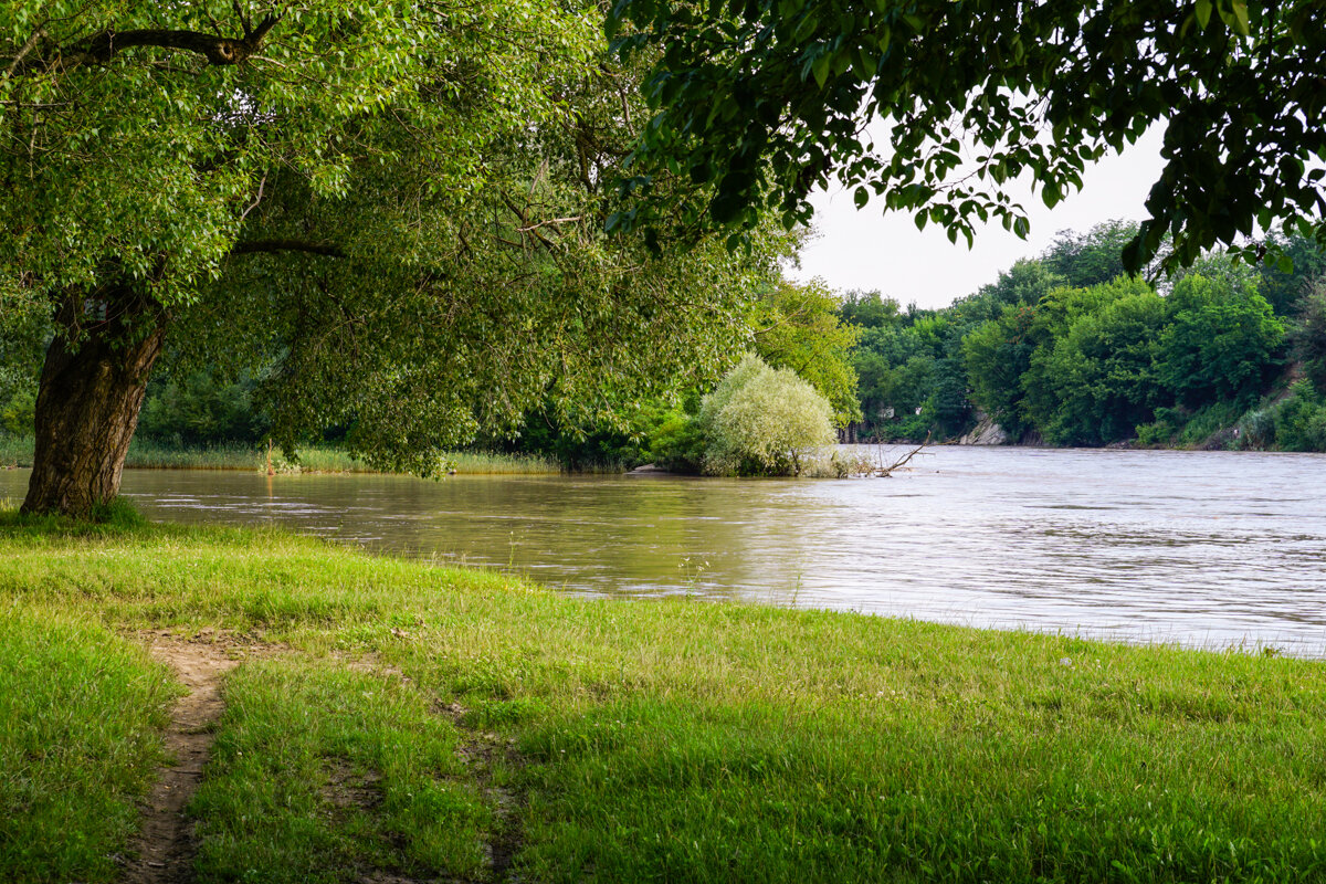 Река Кубань - Игорь Сикорский Река Кубань - Игорь Сикорский