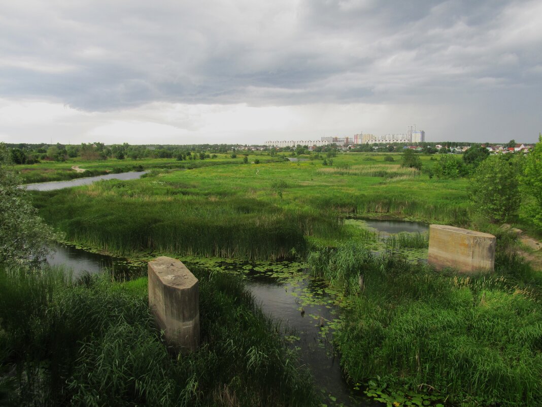 Окраина Воронежа - Елена Шаламова