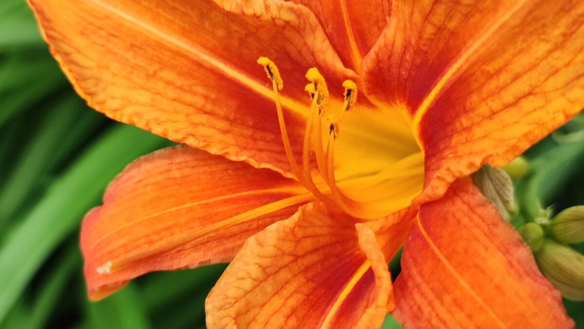 ,,, - Сергей Тимоновский