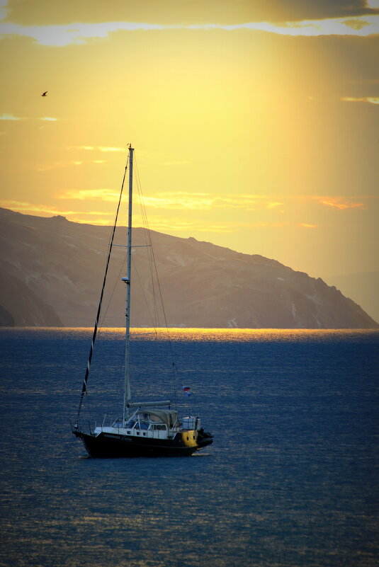 . - Алексей Неустроев