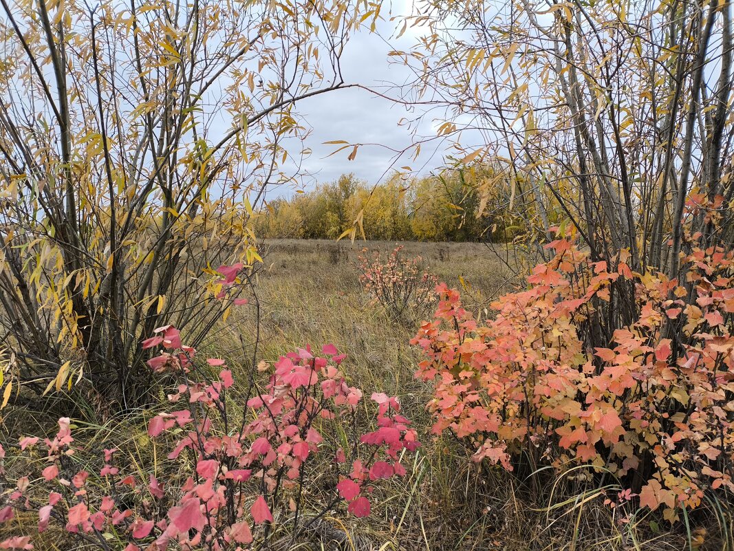 Осень - Anna Ivanova