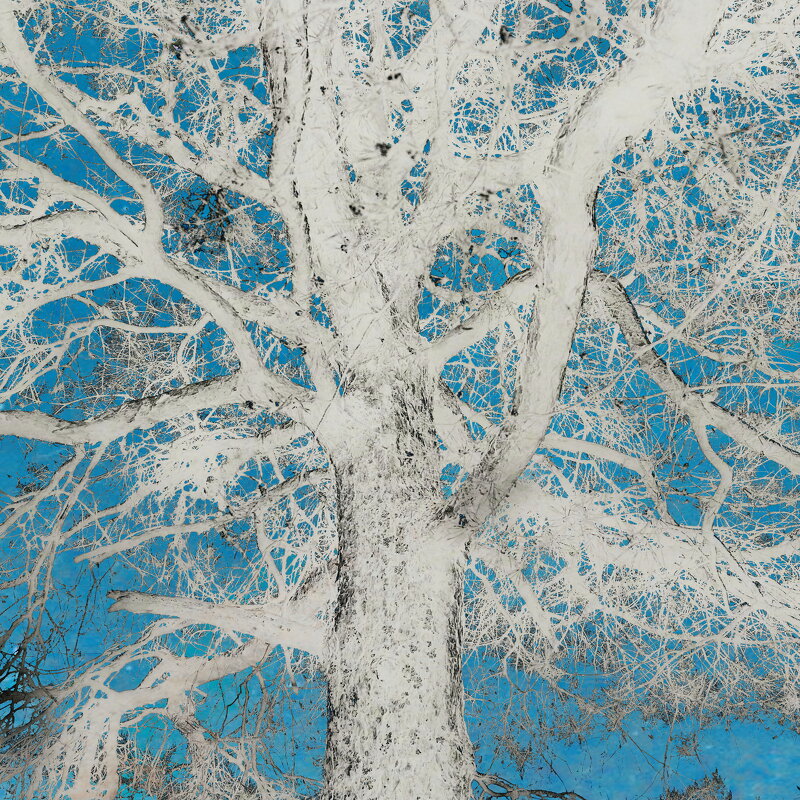 Назва. отсу. - Денис Безногов