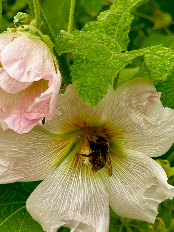 Полное погружение - Oleg4618 Шутченко Полное погружение - Oleg4618 Шутченко