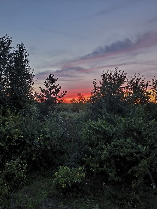 Июльский вечер - Ирэн Июльский вечер - Ирэн