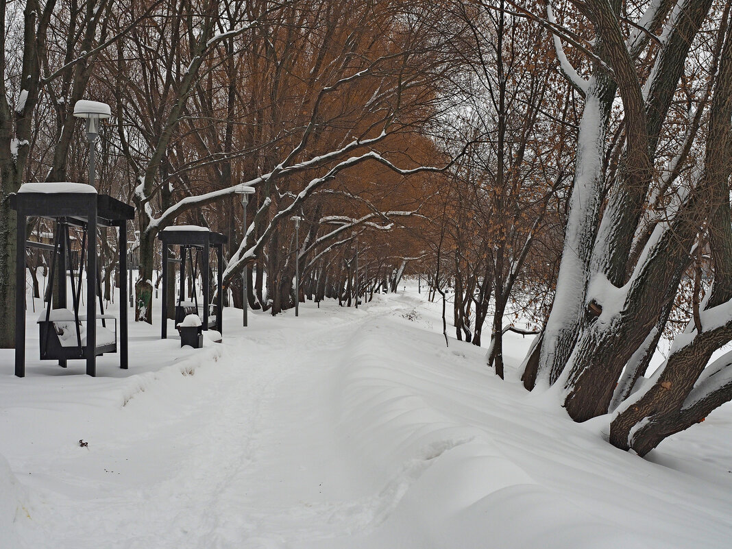 Городской парк - Игорь Белоногов