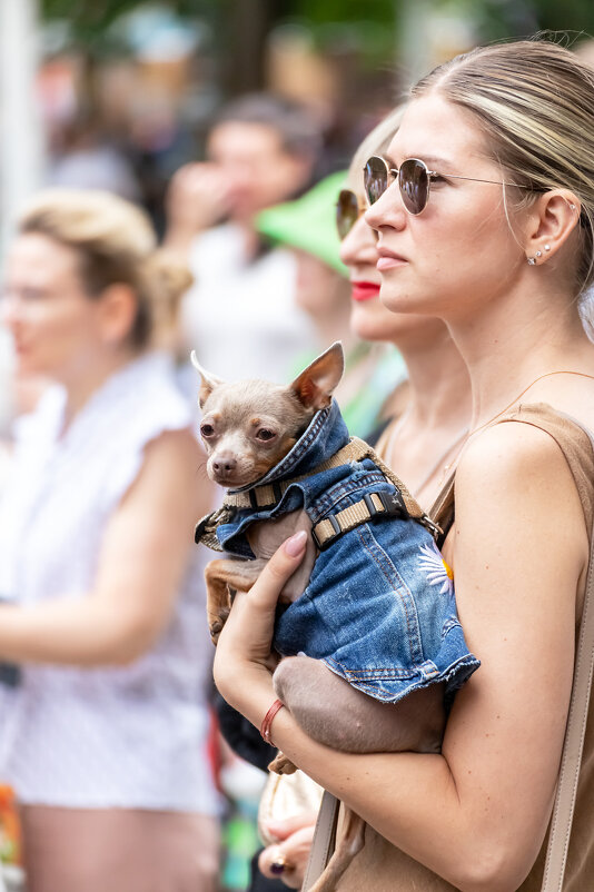 С собачкой - Александр 