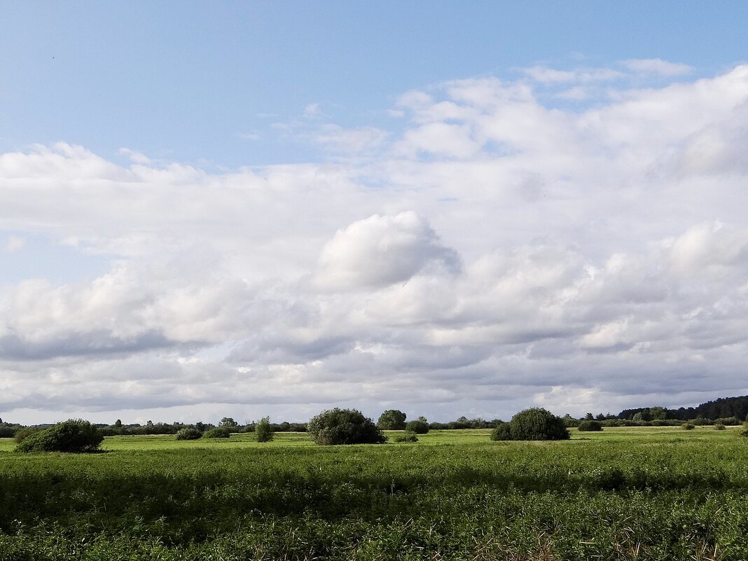 Летний пейзаж - Антонина Гугаева Летний пейзаж - Антонина Гугаева
