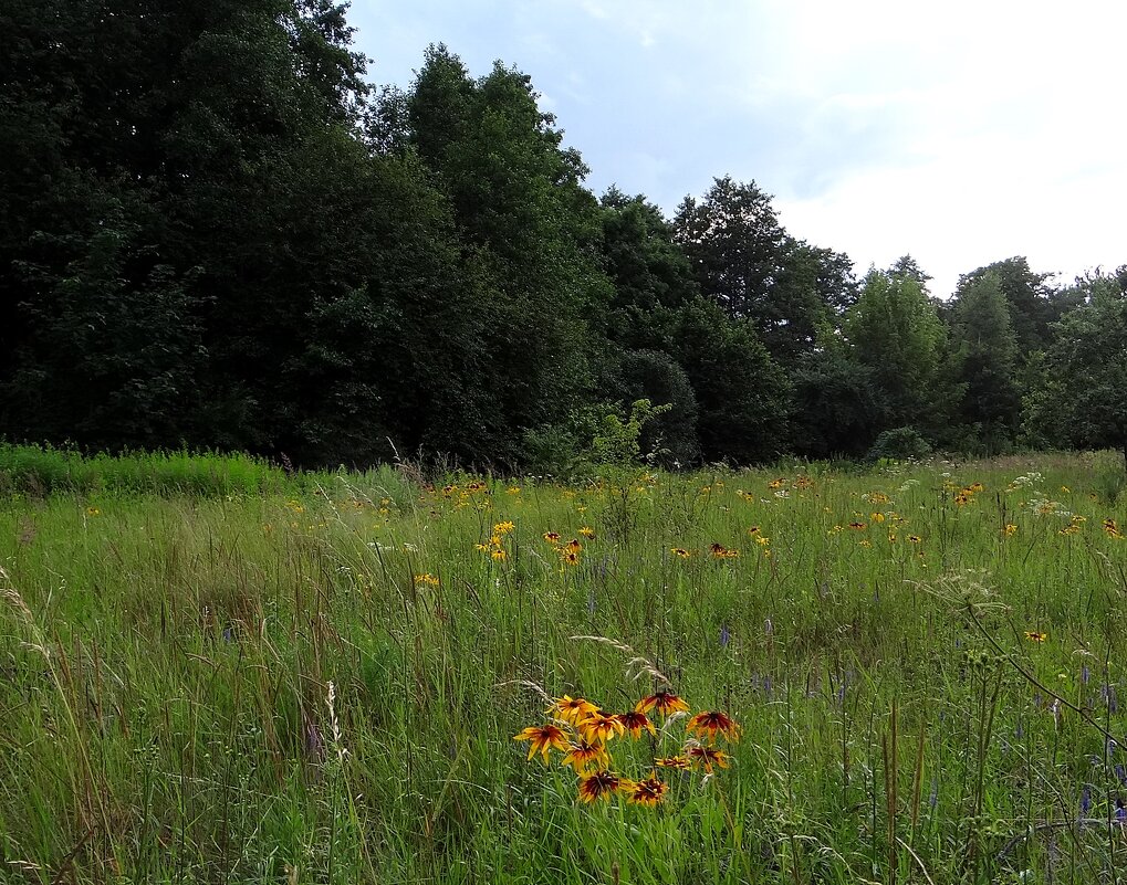 Лето - Антонина Гугаева