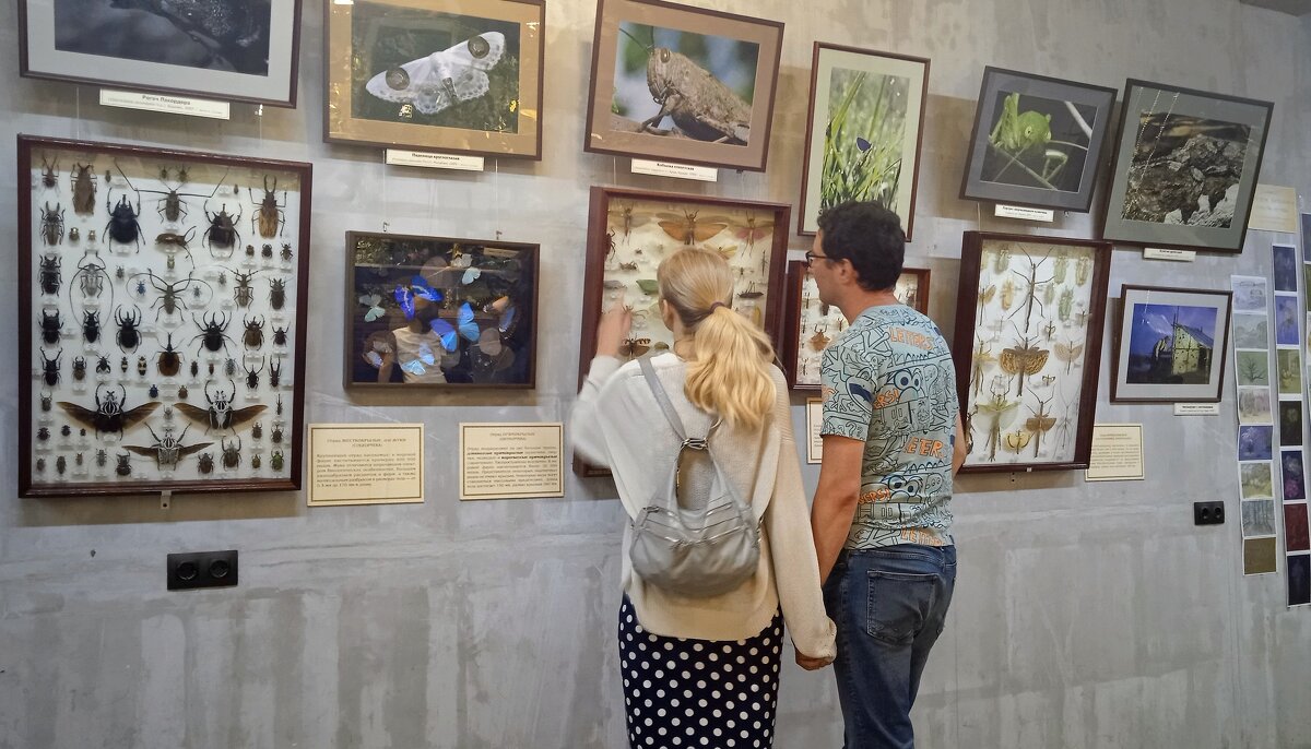 Выставка бабочек - dindin 