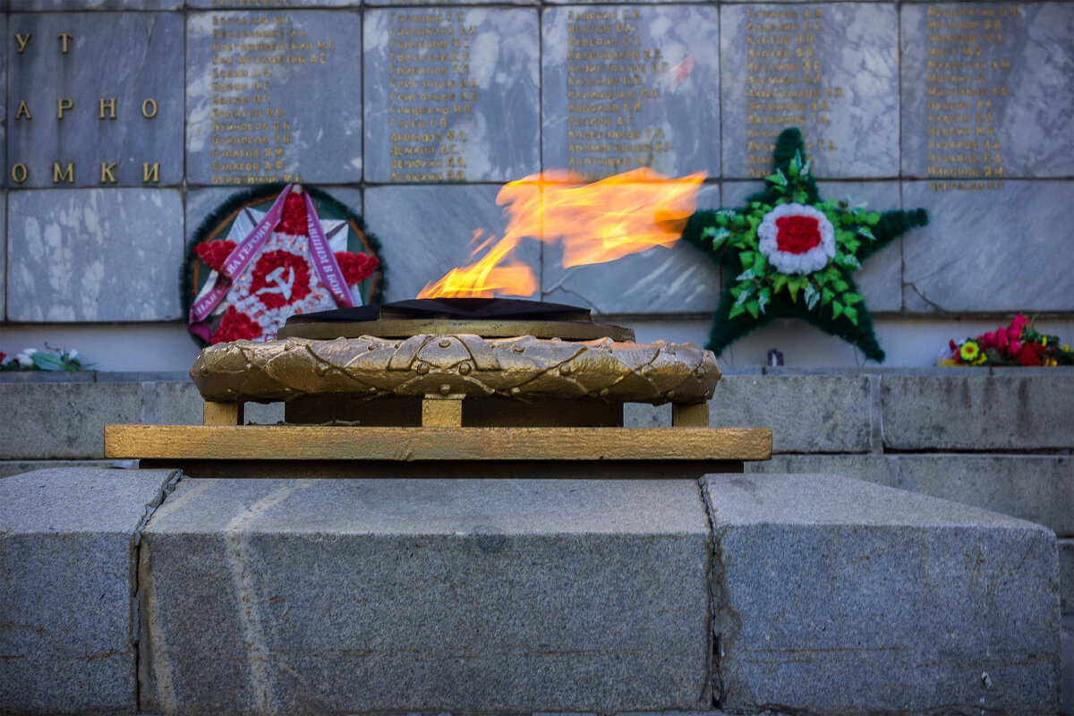 Пусть память не гаснет, как этот огонь - Дмитрий Костоусов