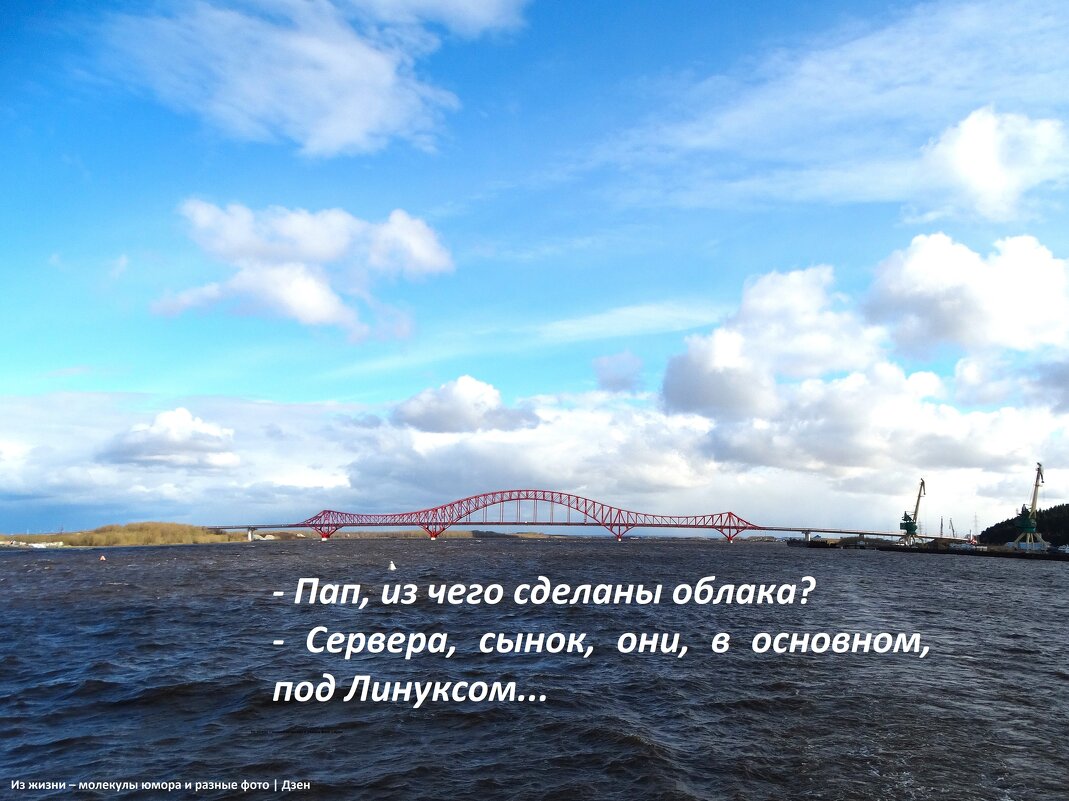 Иртыш, мост Красный дракон - svk *