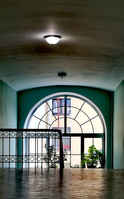 Окно - Любимова Ольга 