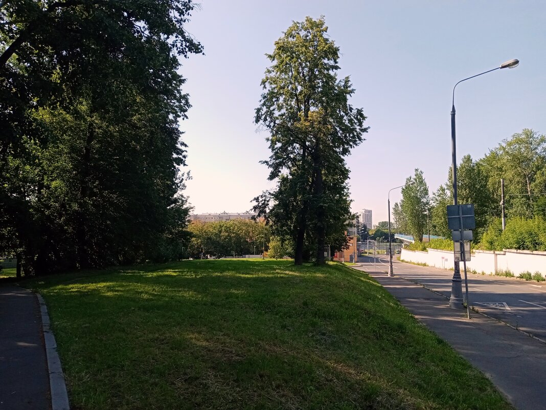 Москва. - Владимир Драгунский