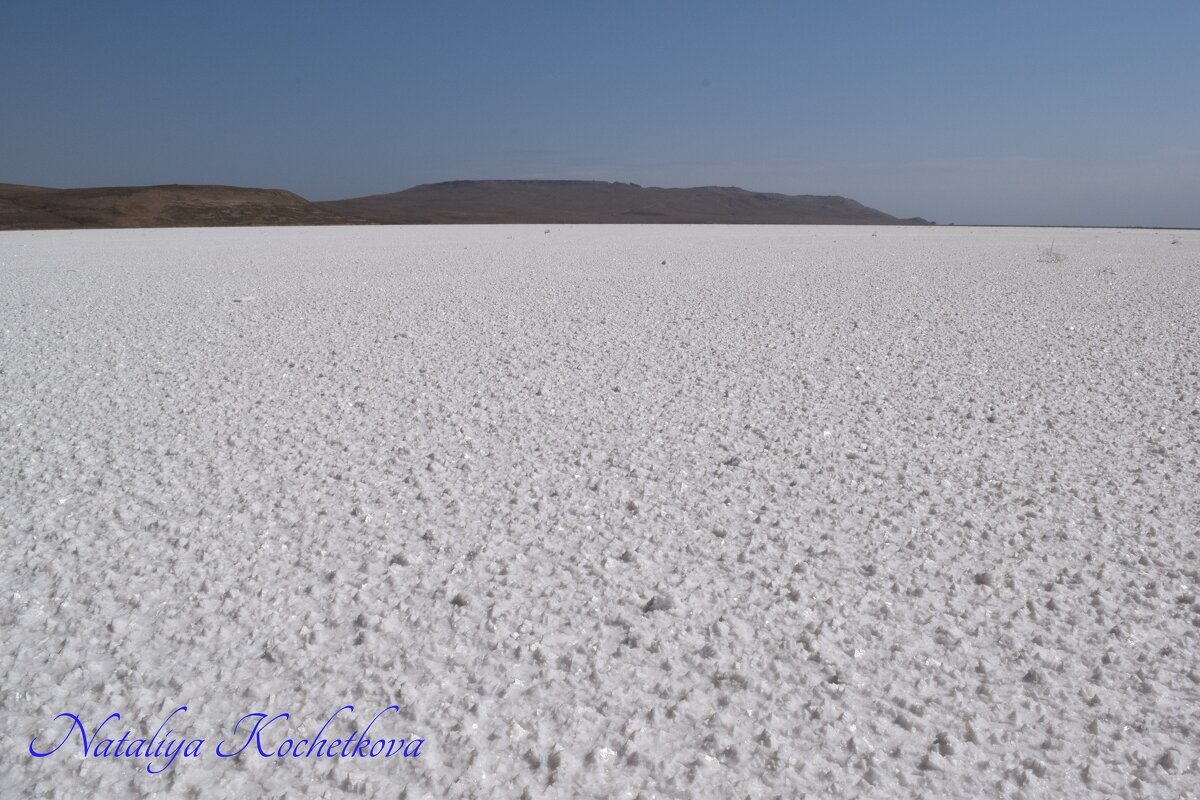 Природа Крыма - Amazing Cosmea Природа Крыма - Amazing Cosmea