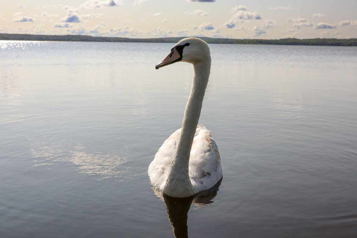 Себеж - skijumper Иванов