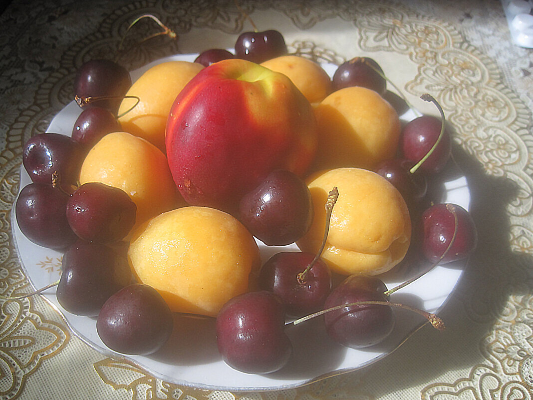 Фруктовый - Елена Семигина