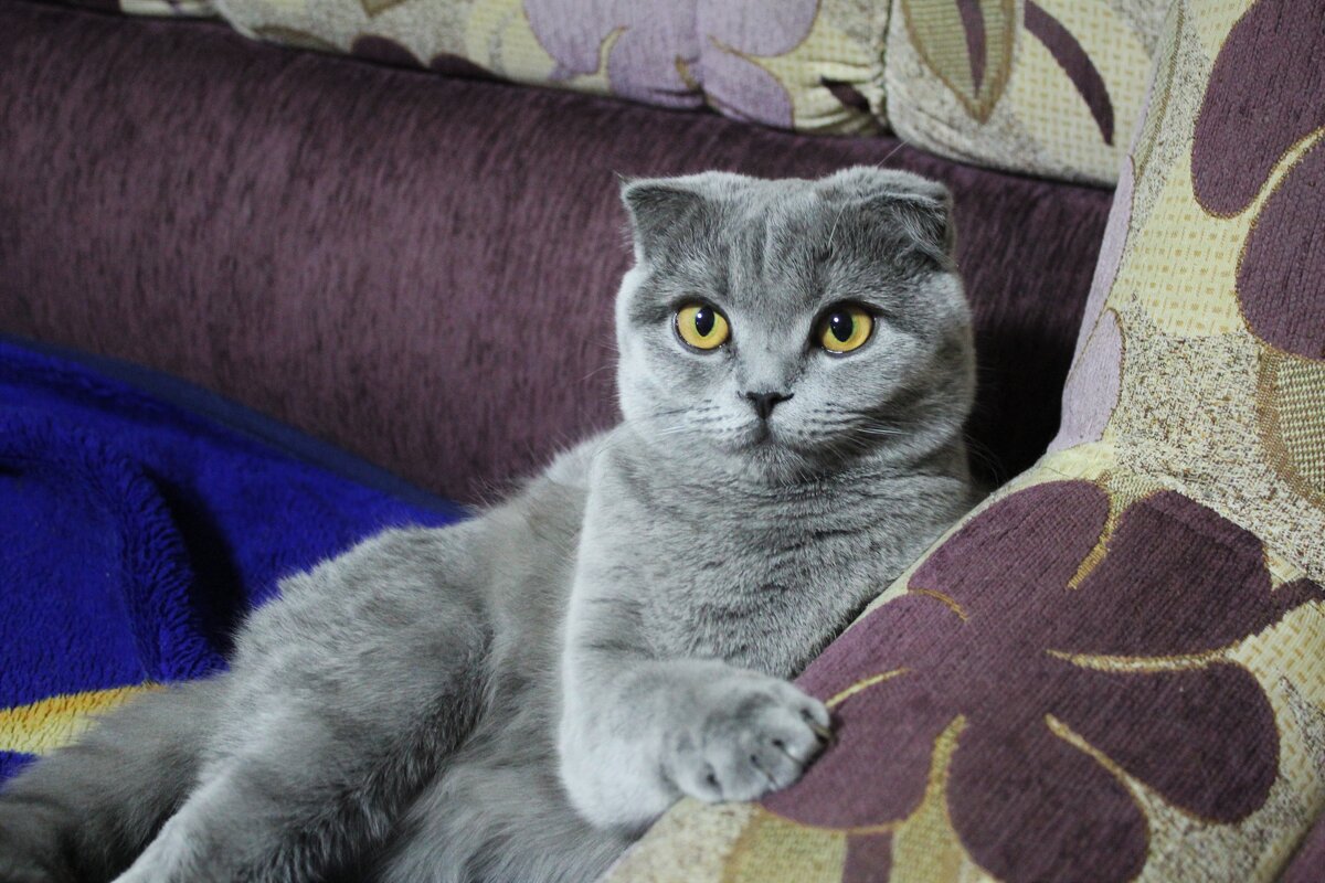 Катюша позирует - Марсель Валеев