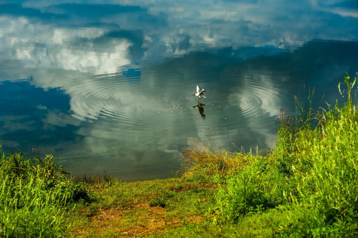 Природа - А кузнецов