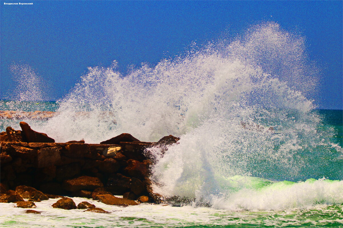 Хайфа 2025 - Владислав Воровский 