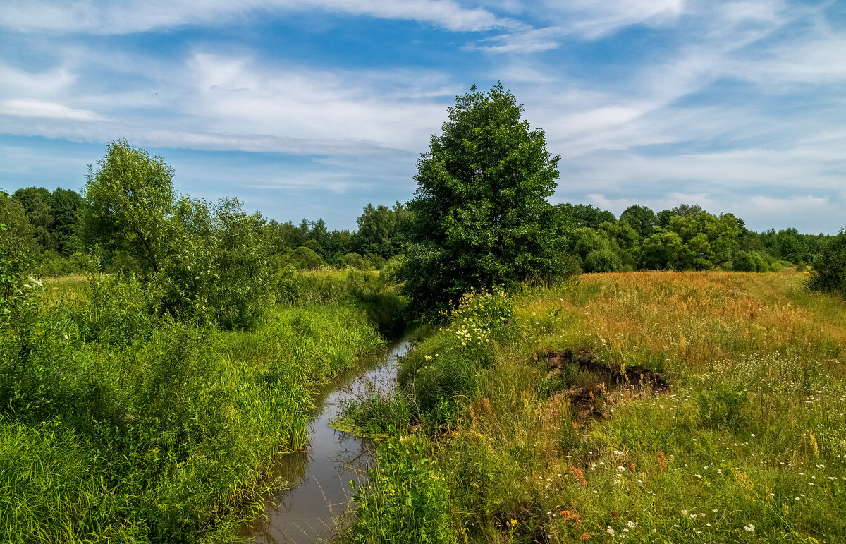 Родные просторы - Андрей Дворников