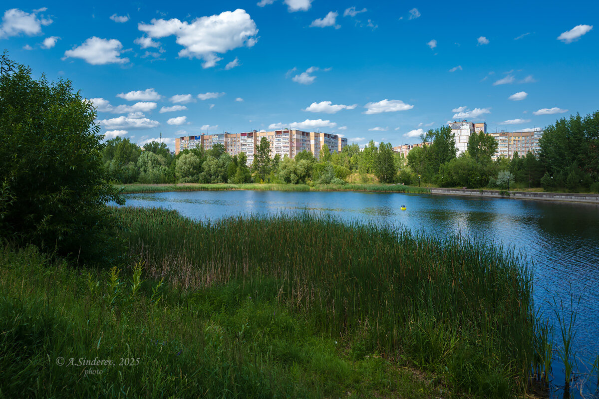 На берегу Мещерского озера - Александр Синдерёв
