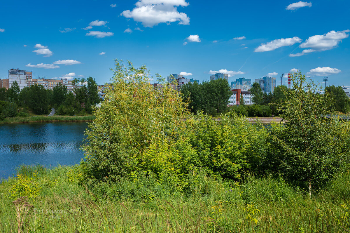 На природе летом - Александр Синдерёв