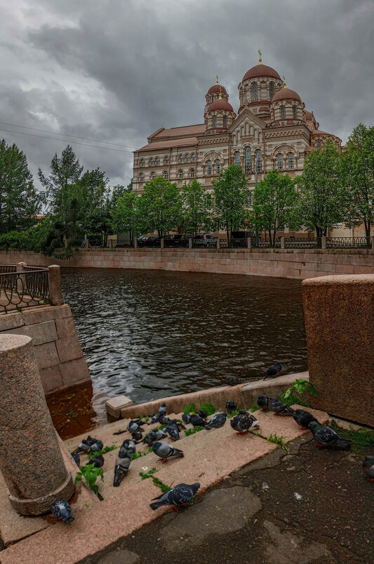 Петербург - Владимир Новиков