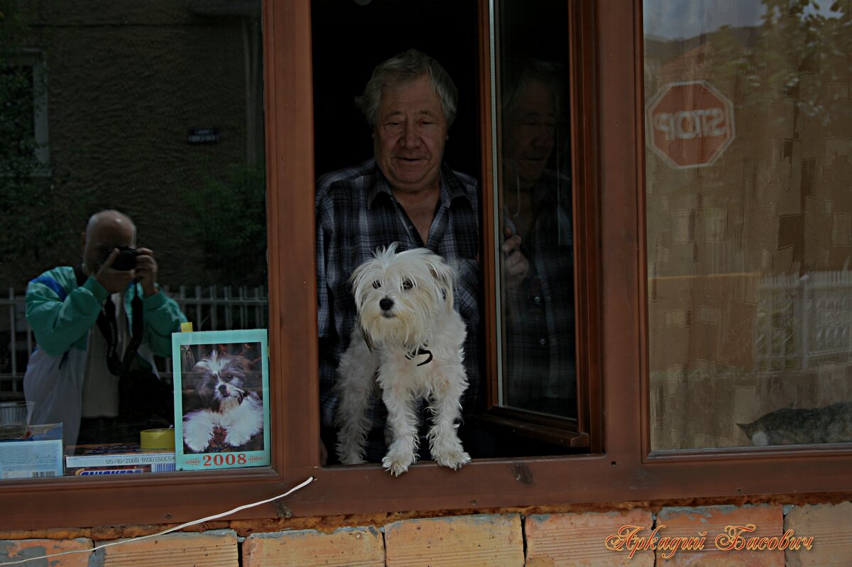 Незнакомец с собакой - Аркадий Басович