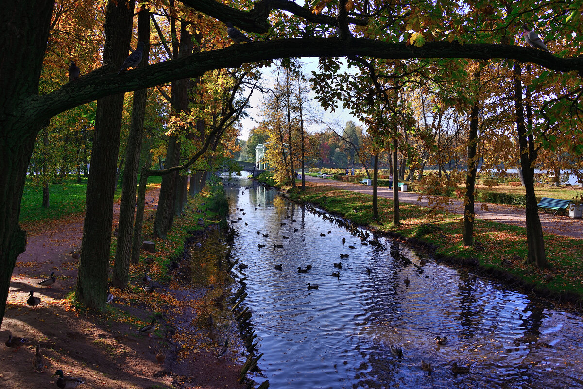*** - Александр Хаецкий