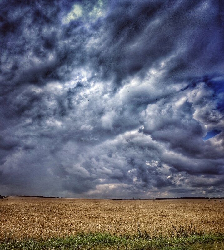 перед дождем - Владимир Мисик