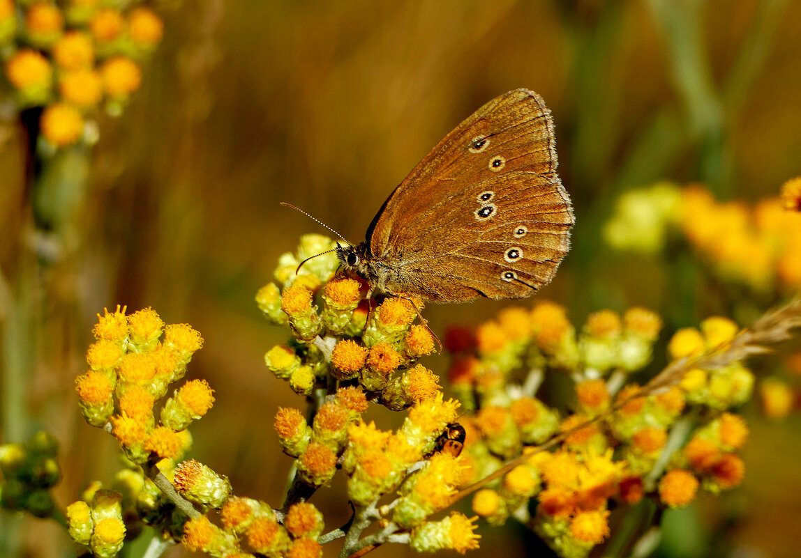 из сегодняшней съемки 1 - Александр Прокудин из сегодняшней съемки 1 - Александр Прокудин