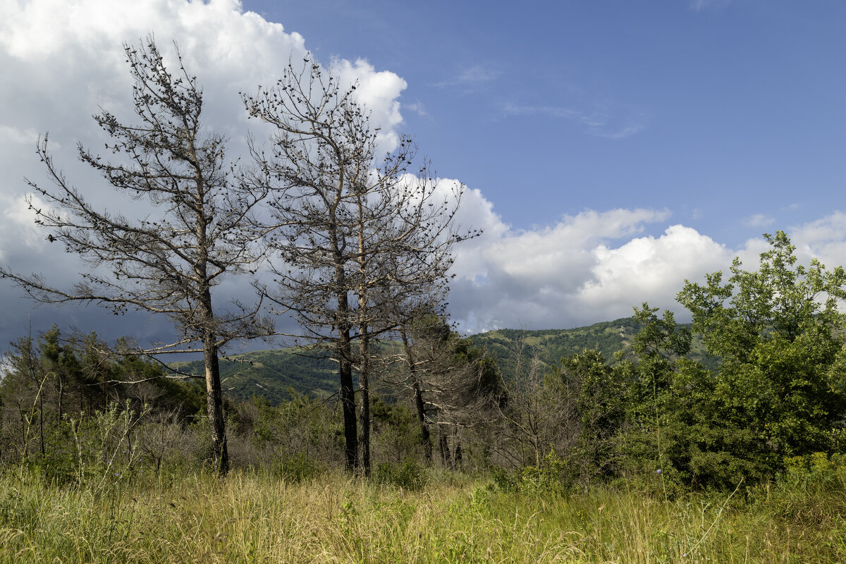 Природа - k-e-r-g-u-d-u DM