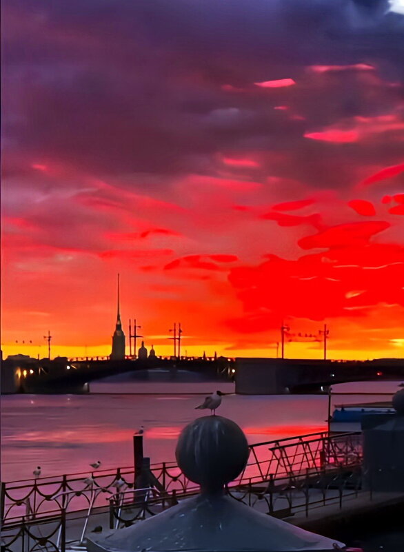 Питерский вечер - Игорь Корф