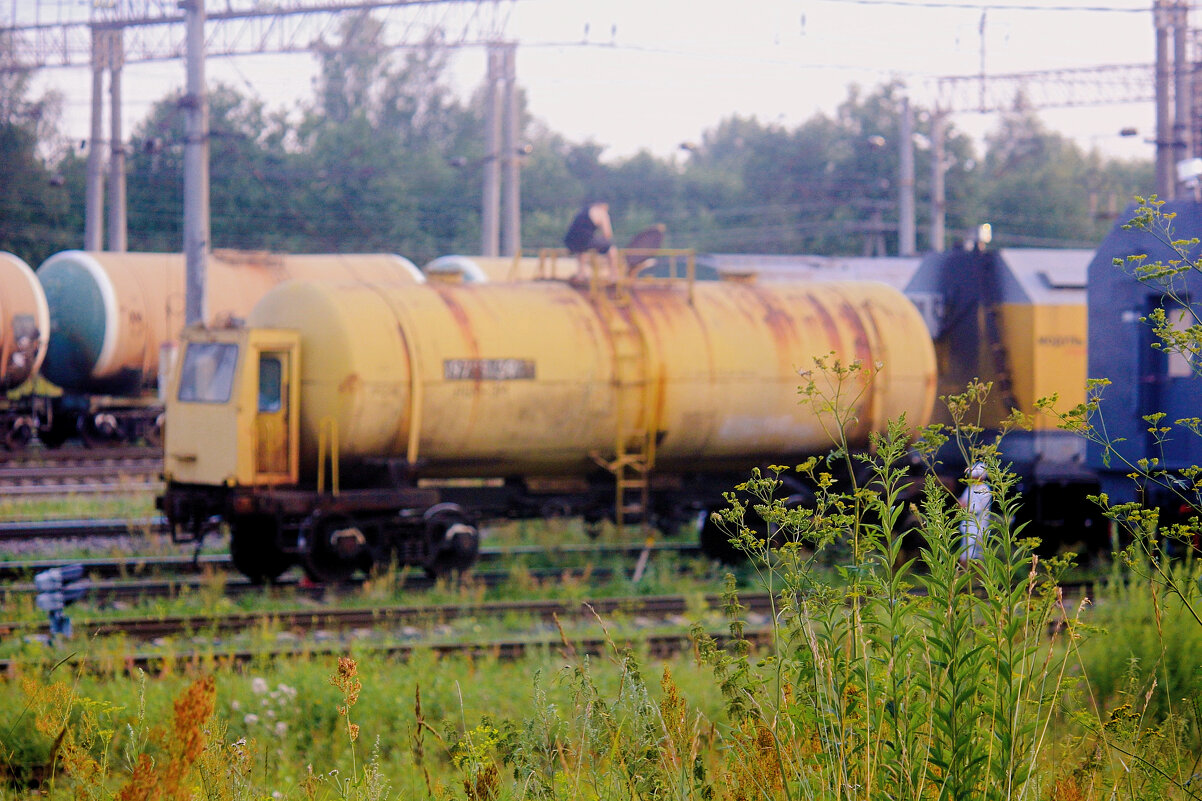 ** - Сергей Кочнев