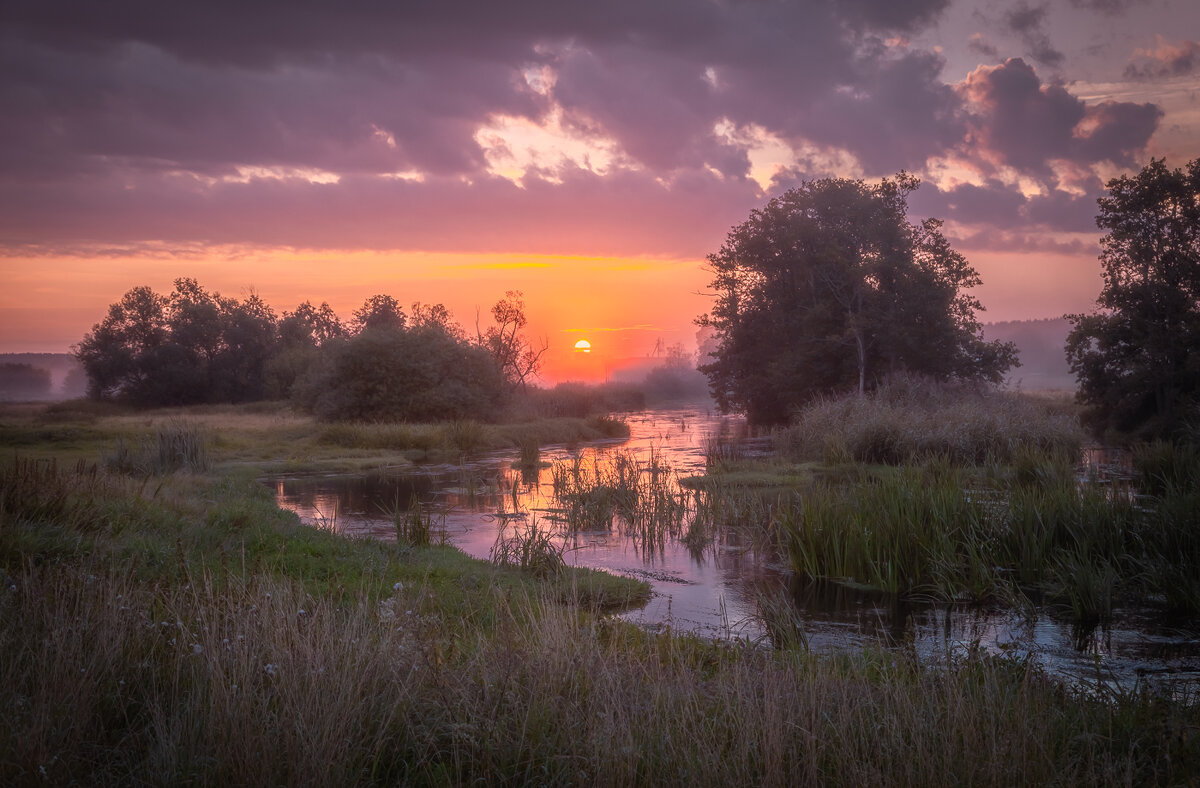 **** - Елизавета .