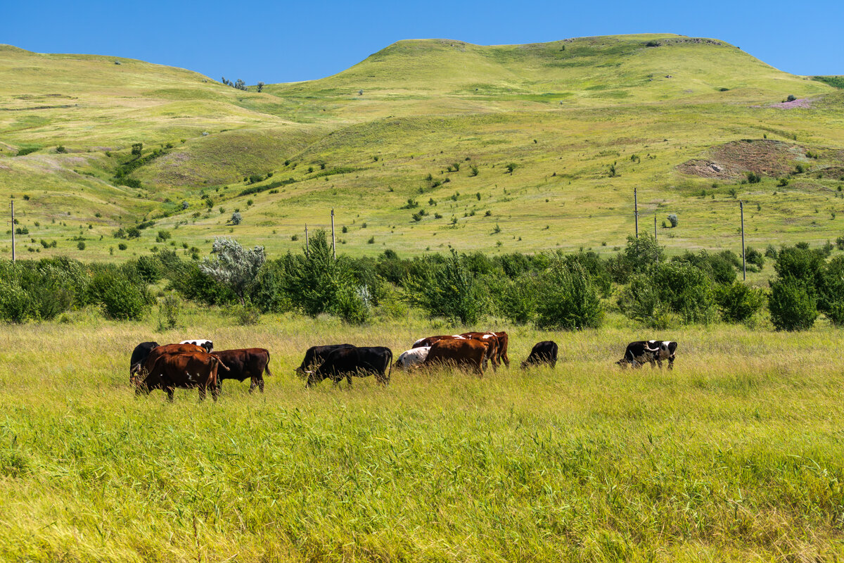 Окрестности - Игорь Сикорский Окрестности - Игорь Сикорский