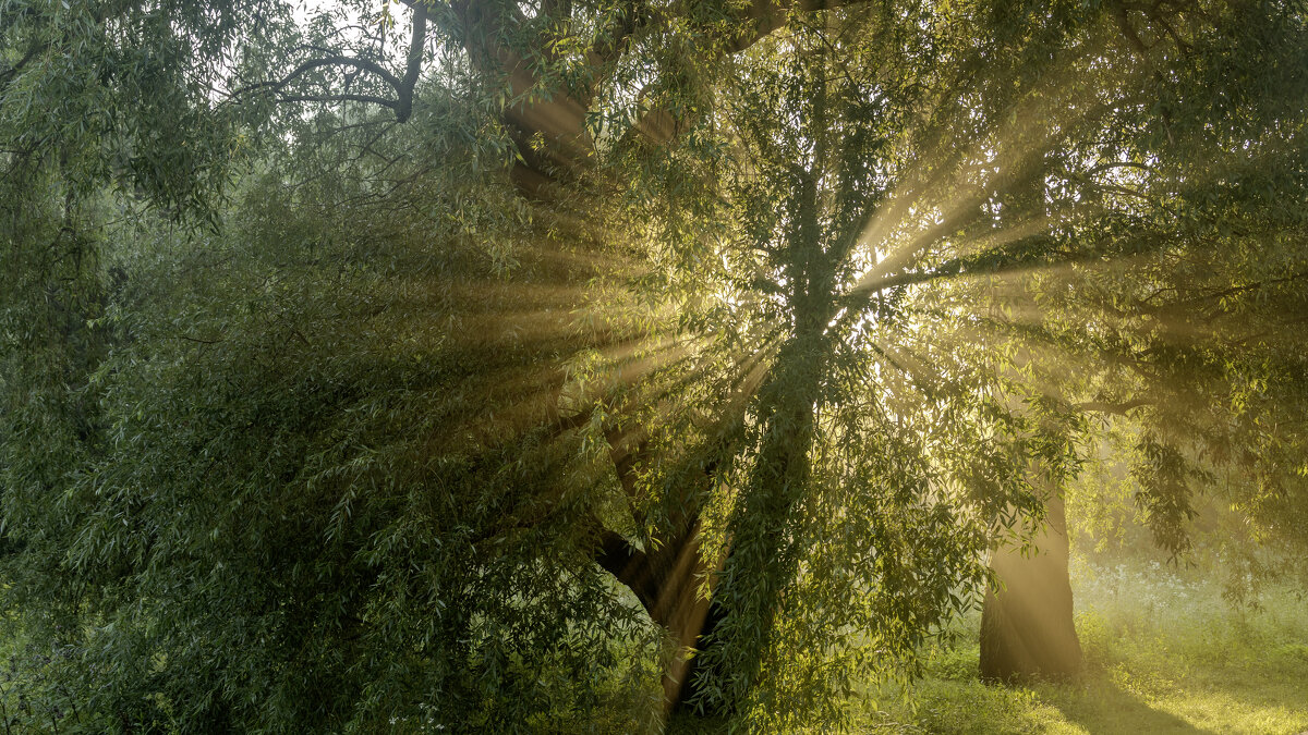 * - k-e-r-g-u-d-u DM