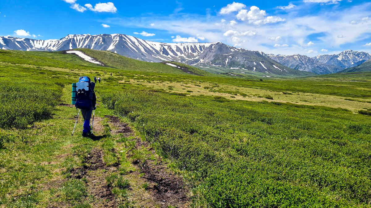 Зелёный - Виктор Фоменко