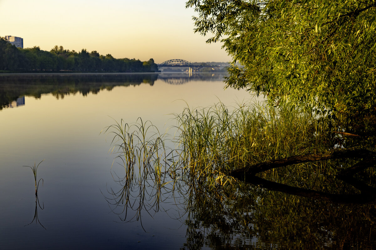 * - k-e-r-g-u-d-u DM