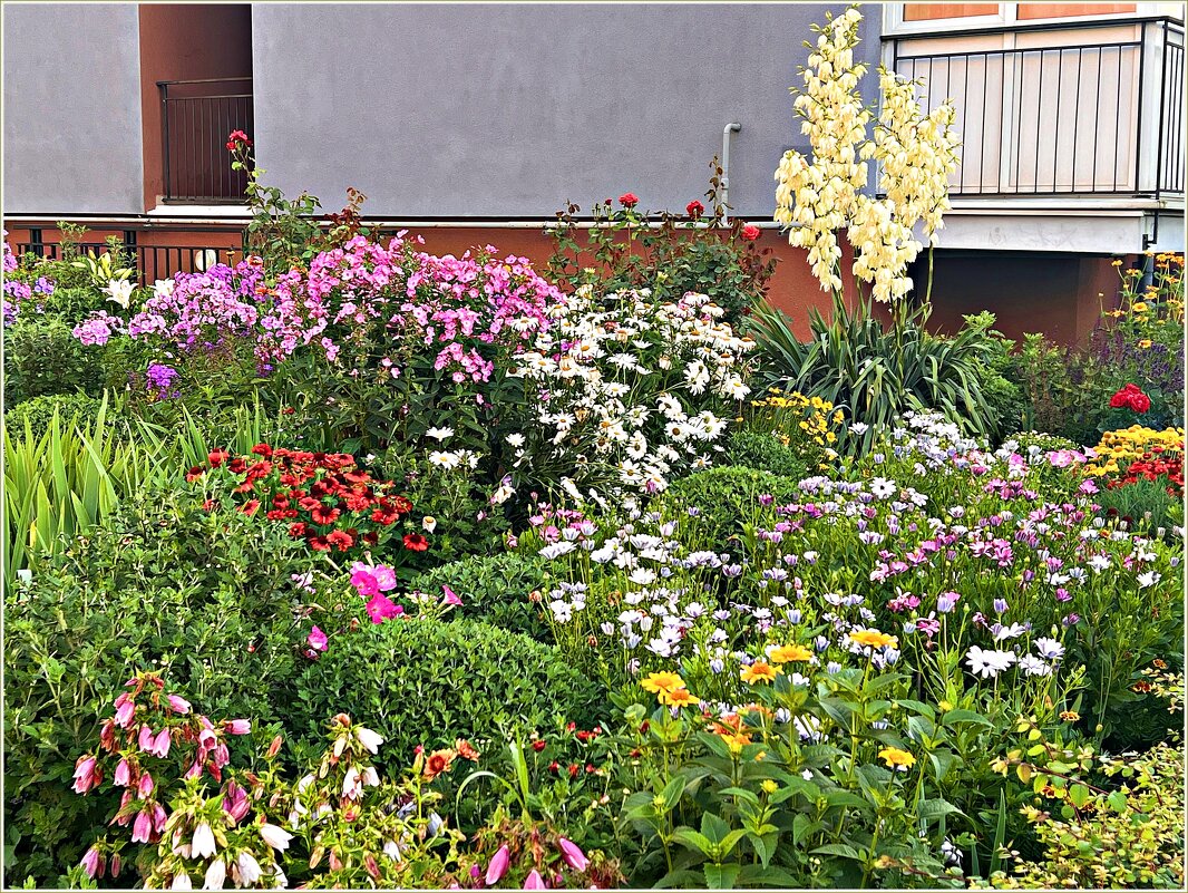 Летнее разноцветье. - Валерия Комова