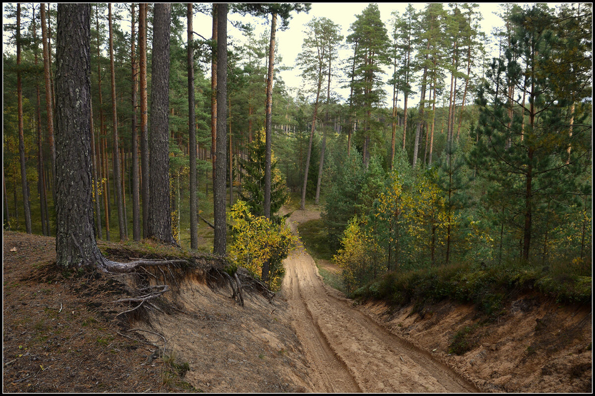 Места охоты - Aleksandr Gal