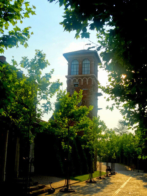 Отдых на донской земле (6) - Тамара (st.tamara) Отдых на донской земле (6) - Тамара (st.tamara)