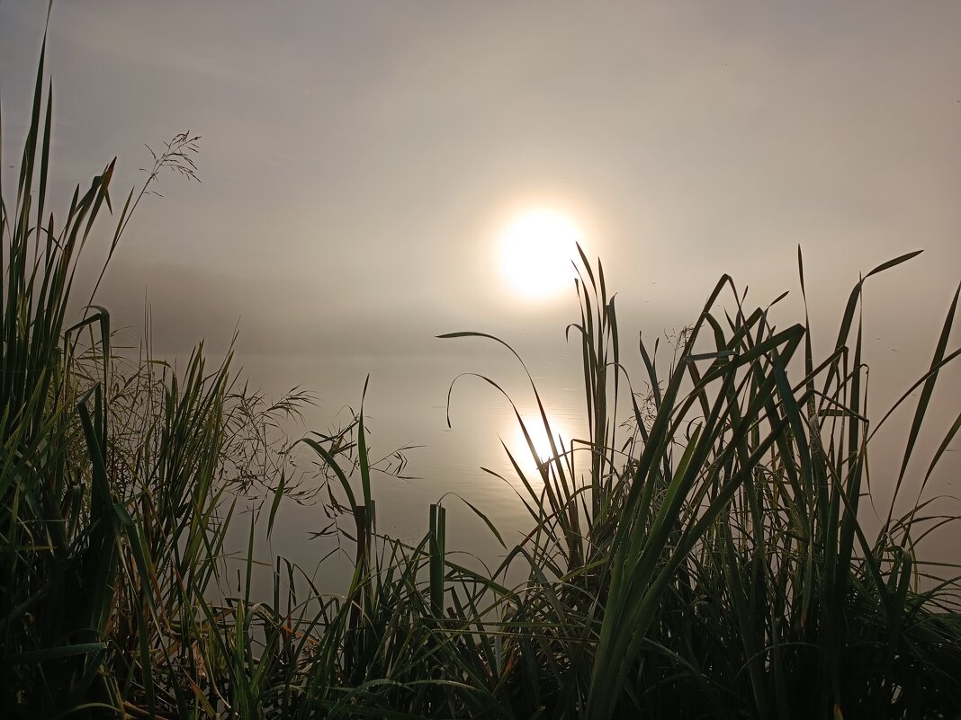 На рыбалке - Sergei Vikulov