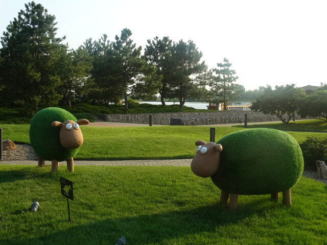 Отдых на донской земле (9)... - Тамара (st.tamara) Отдых на донской земле (9)... - Тамара (st.tamara)