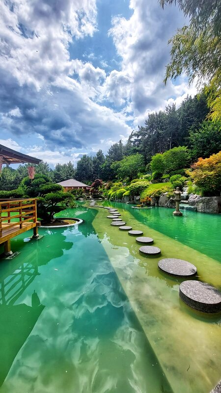 Японский сад - Оксана Н.