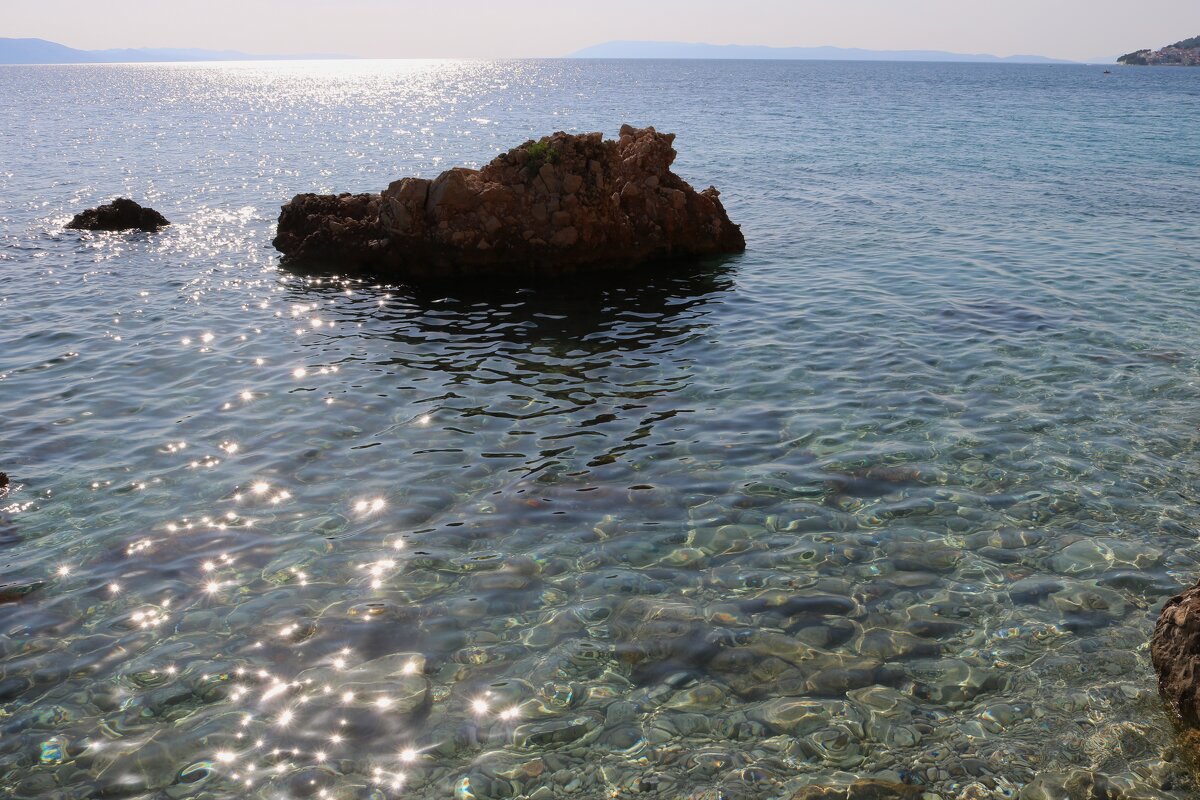 солнечные "зайчики" - Светлана Баталий